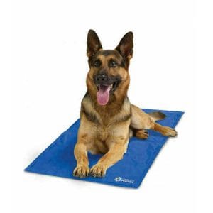 Στρώμα Σκύλου σε Μπλε χρώμα 80x55cm 306255