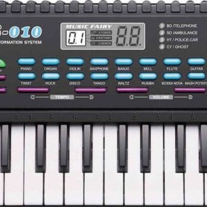 Σετ Καραόκε Αρμόνιο με Μικρόφωνο MS-010