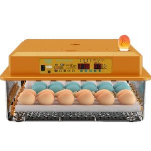 Εκκολαπτική Μηχανή 36 αυγών XWO-36