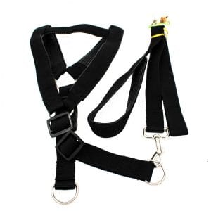 Λουρί/Οδηγός Σκύλου Ιμάντας σε Μαύρο Χρώμα PET203