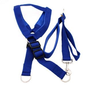 Λουρί/Οδηγός Σκύλου Ιμάντας σε Μπλε Χρώμα PET202