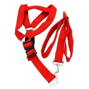 Λουρί/Οδηγός Σκύλου Ιμάντας σε Κόκκινο Χρώμα PET201
