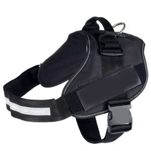 Σαμαράκι Σκύλου 04322