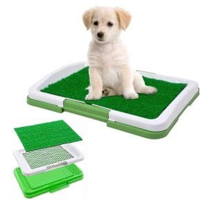 Εκπαιδευτική Τουαλέτα Σκύλου KLN-e831fa