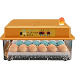 Εκκολαπτικές Μηχανές