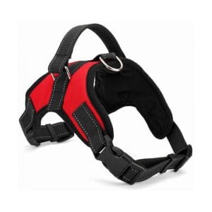 Σαμαράκι Sport Red Xlarge 72-92cm