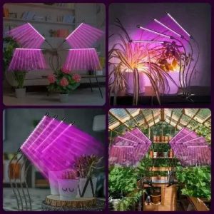 Επιτραπέζιο Grow Light με 80 LED και Ισχύ 16W 65εκ.