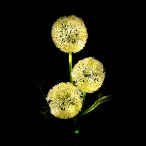 Διακοσμητικά ηλιακά φώτα κήπου ZAR0580