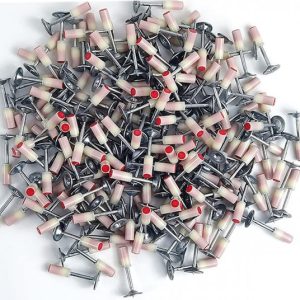 PRITS55 Καρφιά 100τμχ